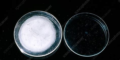 Residue on Evaporation (ROE) 